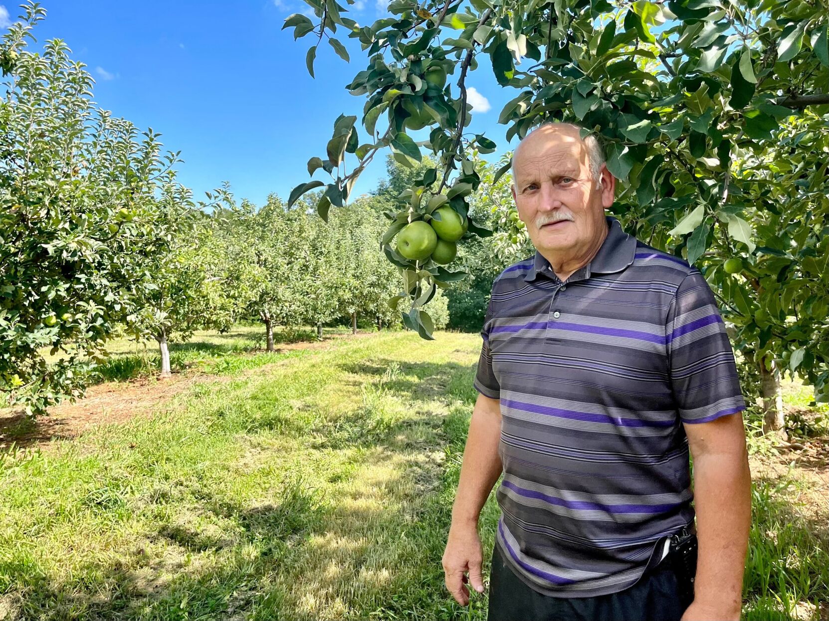 Blue Haven Orchards